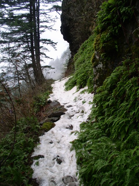 12.23.05 Elowah Falls 024 